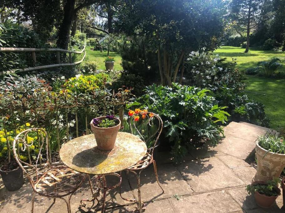 Escape To Ash House 18Th Century Manor In Somerset Martock Esterno foto