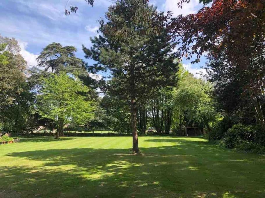 Escape To Ash House 18Th Century Manor In Somerset Martock Esterno foto