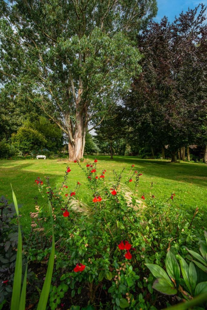 Escape To Ash House 18Th Century Manor In Somerset Martock Esterno foto