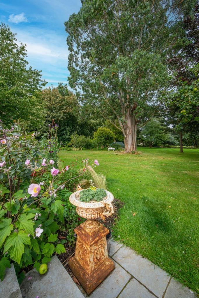 Escape To Ash House 18Th Century Manor In Somerset Martock Esterno foto